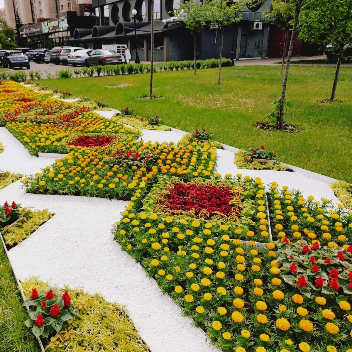 До Дня Києва столицю прикрасили тематичними квітковими композиціями: ФОТО