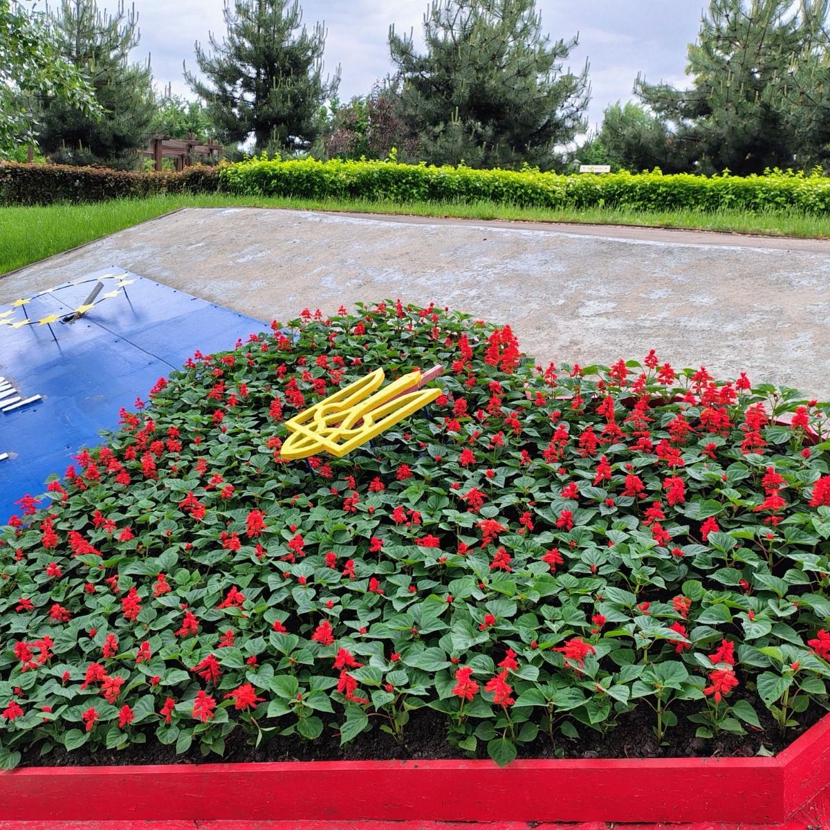 До Дня Києва столицю прикрасили тематичними квітковими композиціями: ФОТО
