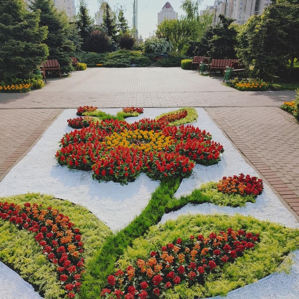 До Дня Києва столицю прикрасили тематичними квітковими композиціями: ФОТО