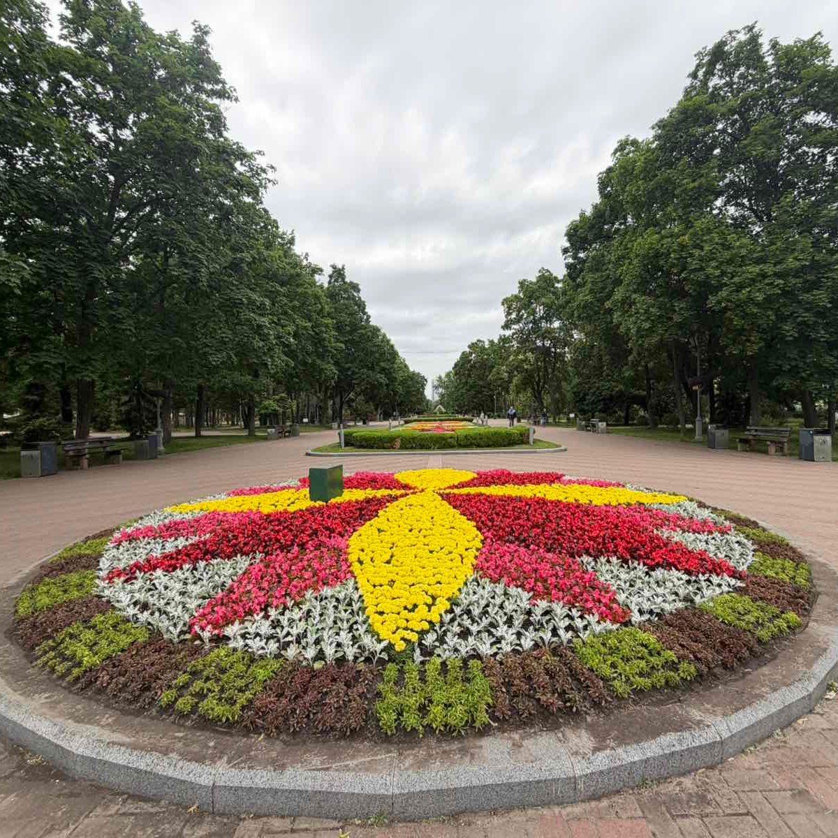 До Дня Києва столицю прикрасили тематичними квітковими композиціями: ФОТО