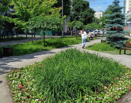 Київзеленбуд завершив озеленення скверу на Солом'янці: висадили понад 1000 рослин