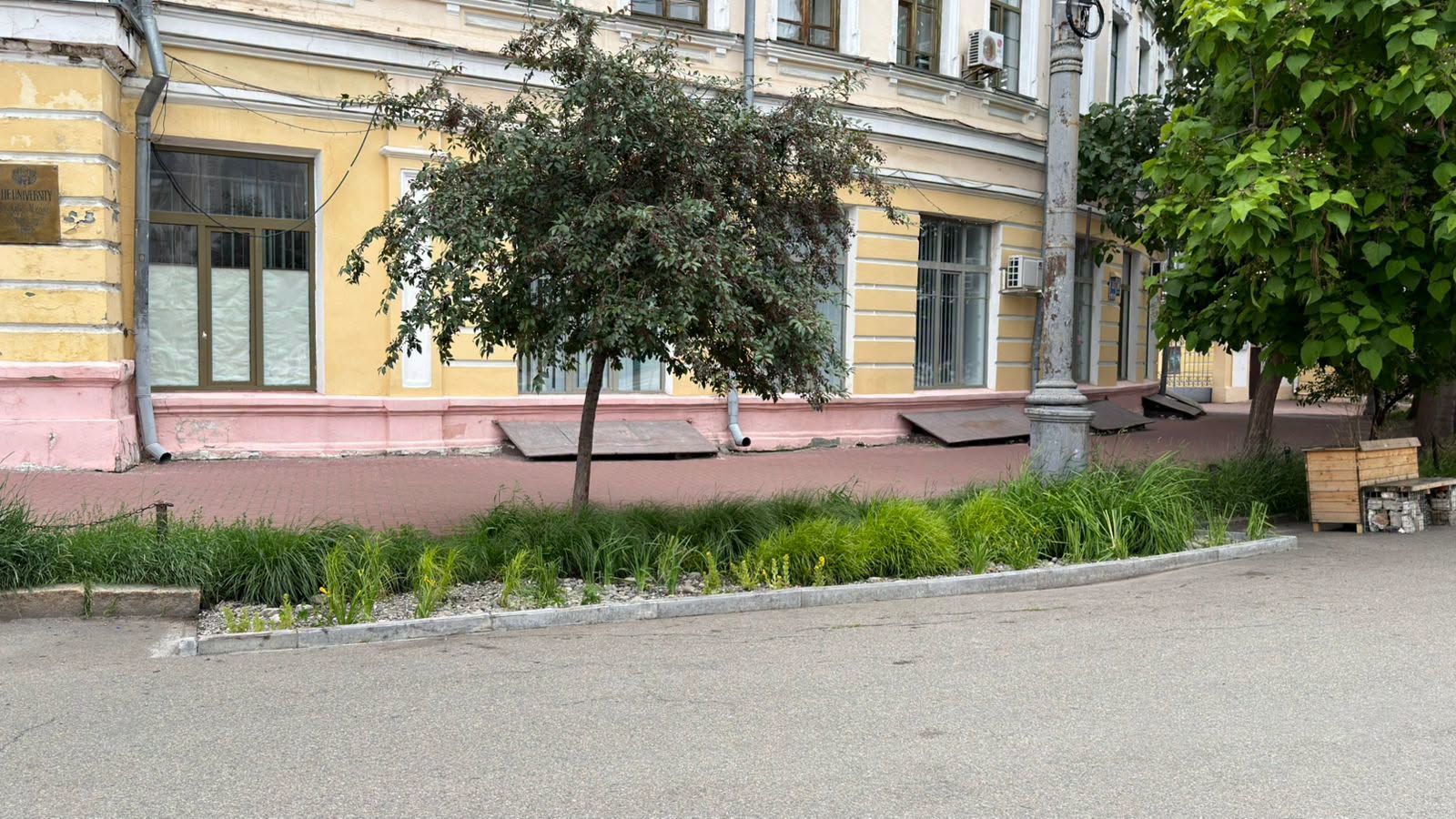 На Подолі оновили дощовий садок, у Дніпровському районі розквітнув парк