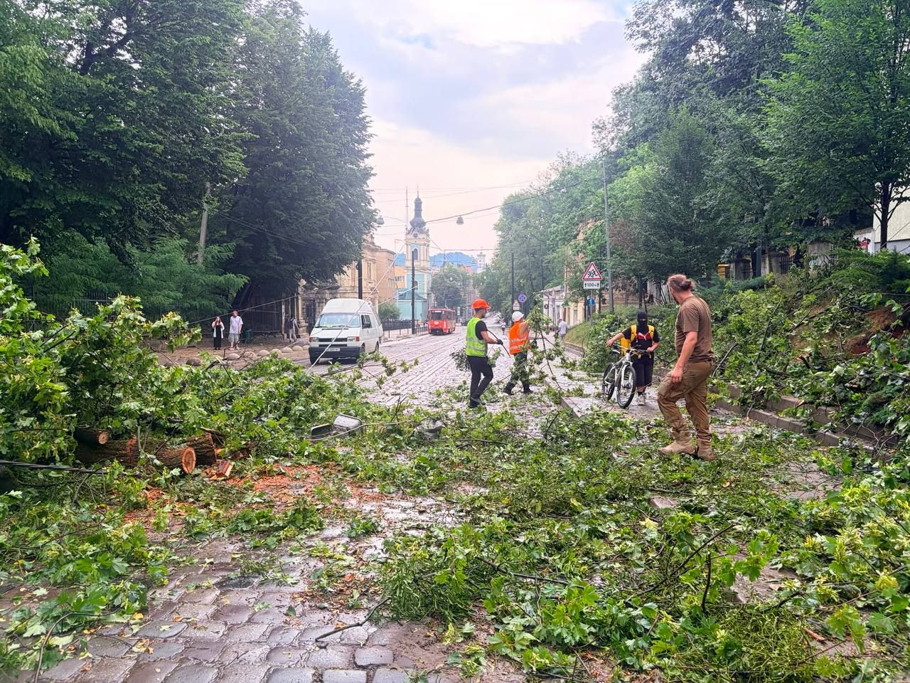 Негода у Львові: блискавка влучила в дитину, десятки дерев повалені