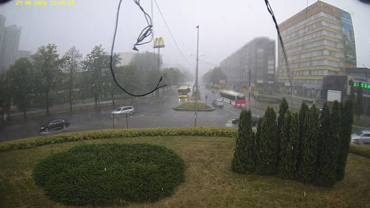 Негода у Львові: блискавка влучила в дитину, десятки дерев повалені