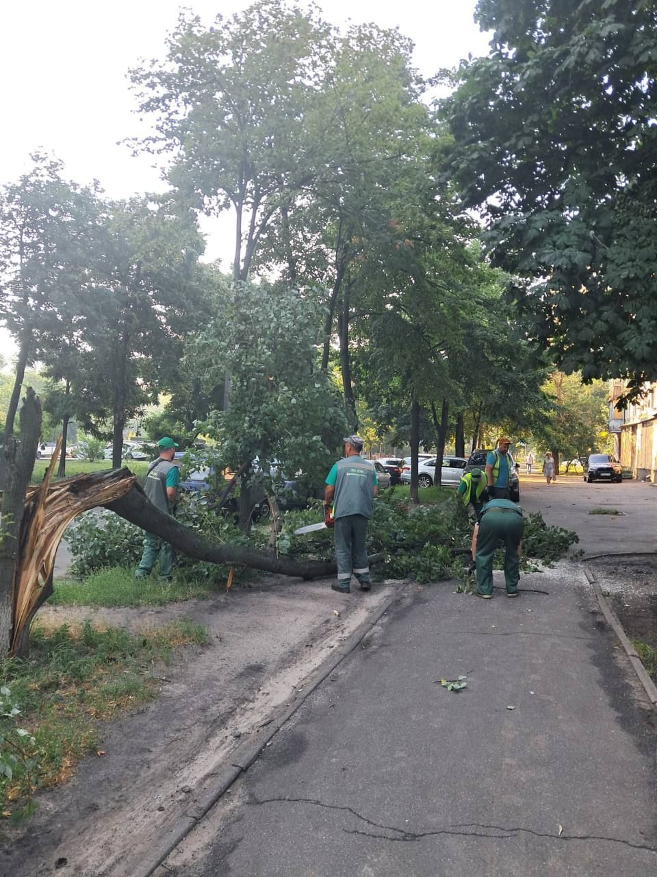 Київ ліквідує наслідки грози: повалені дерева у Дарницькому та Святошинському районах