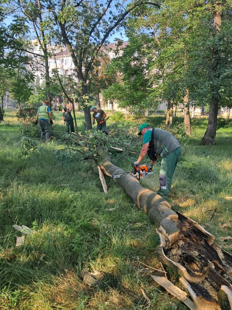 Київ ліквідує наслідки грози: повалені дерева у Дарницькому та Святошинському районах