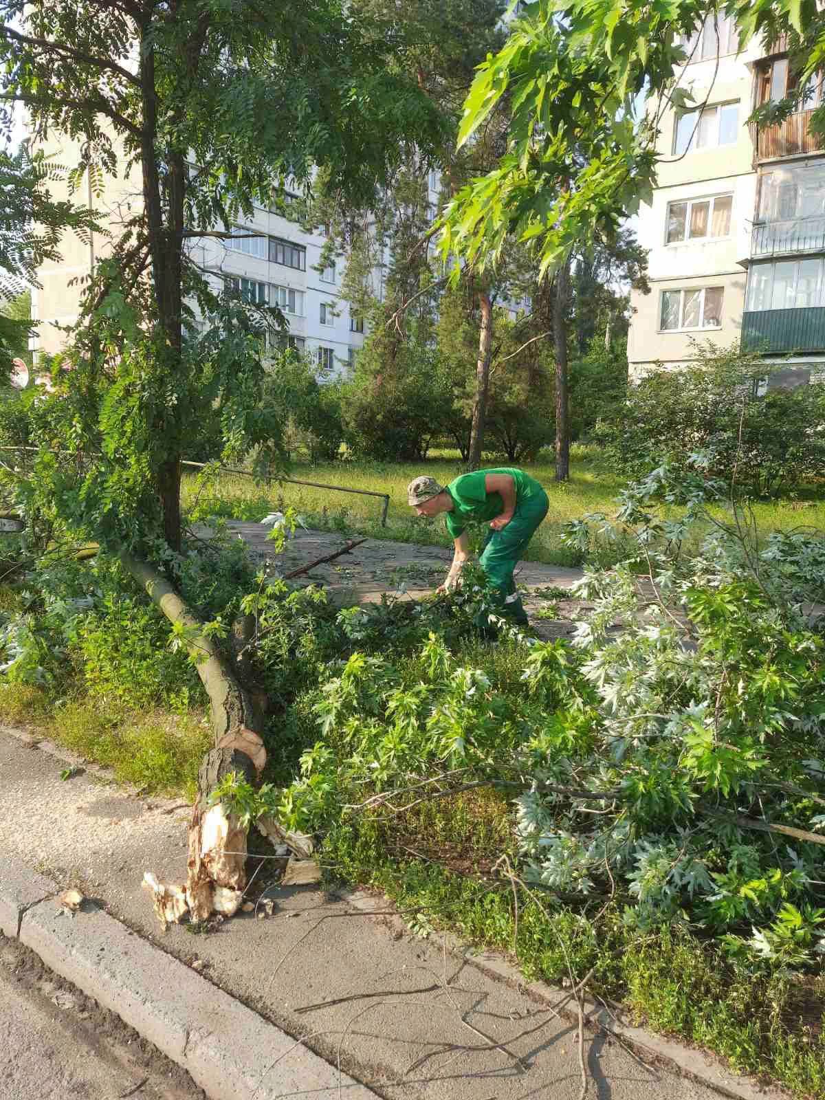 Київ ліквідує наслідки грози: повалені дерева у Дарницькому та Святошинському районах