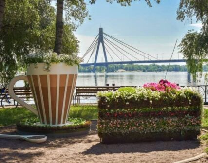 Скільки коштує зелень Києва: бюджет, ремонти парків та адаптація до змін клімату