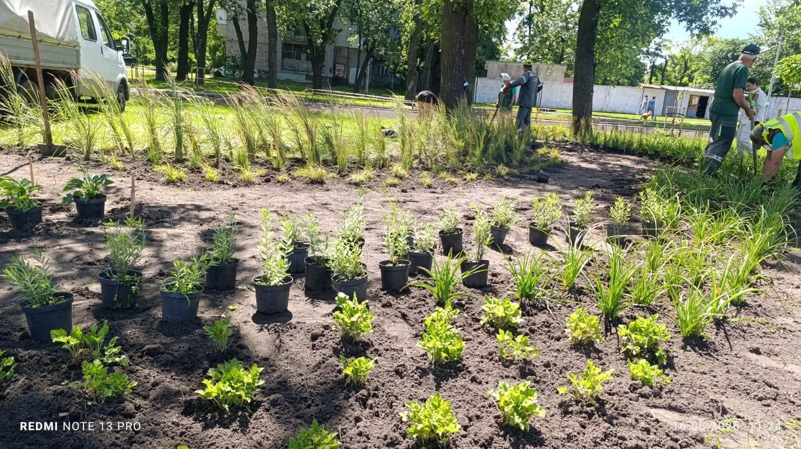 Дощовий садок з'явився на Дарниці: екологічна окраса Києва