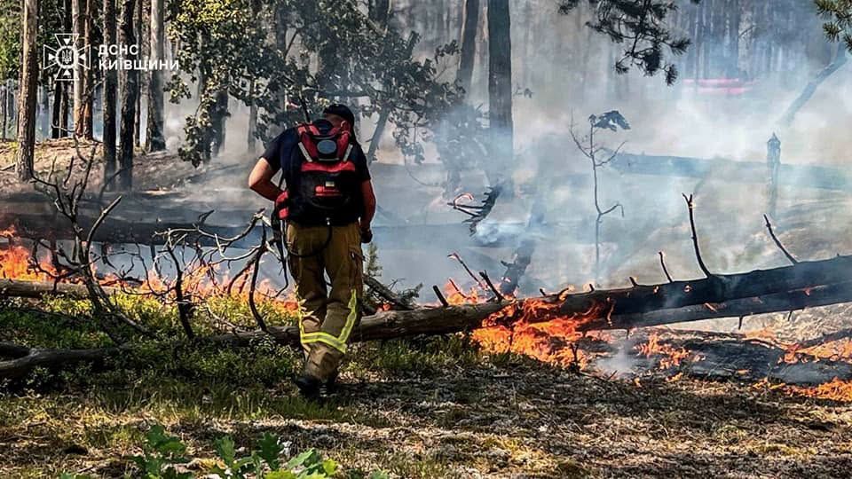 У Чорнобильській зоні новий осередок вогню, радіація в нормі