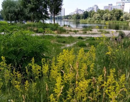 Холодний фронт і грози: прогноз погоди в Україні на вівторок