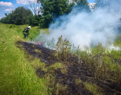 Надзвичайний рівень пожежної небезпеки у Києві та області 26 червня
