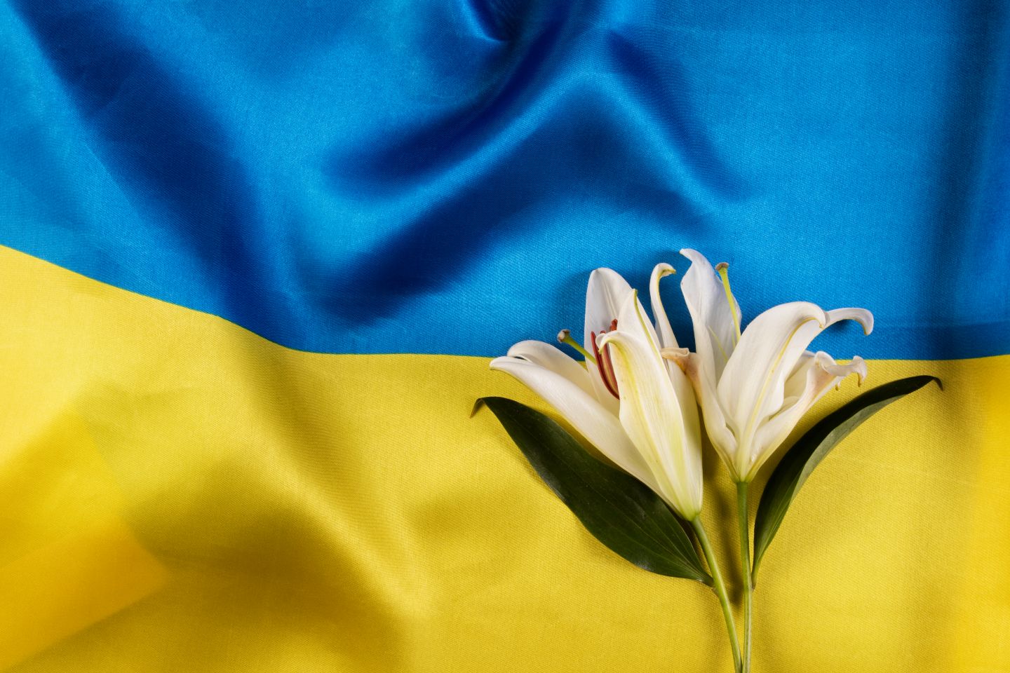 Конституція України: 30 років Основному Закону, що визначив шлях нації