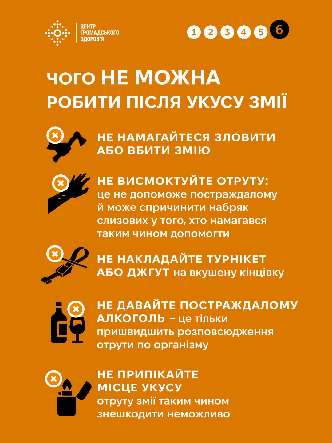Змії активізувалися: ЦГЗ нагадав, як діяти при укусі