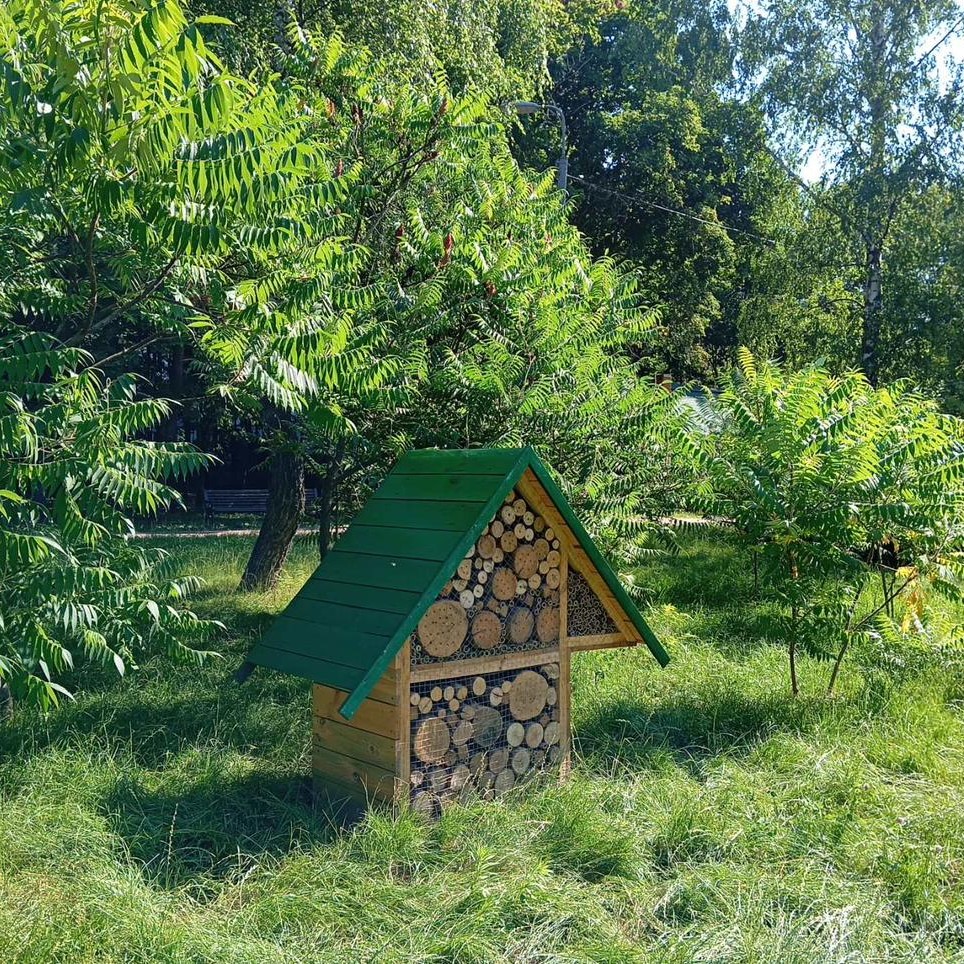 Київ активно встановлює будиночки для комах: 57 конструкцій за два роки