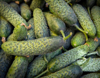У Києві відбудуться продуктові ярмарки: графік з 7 до 12 липня