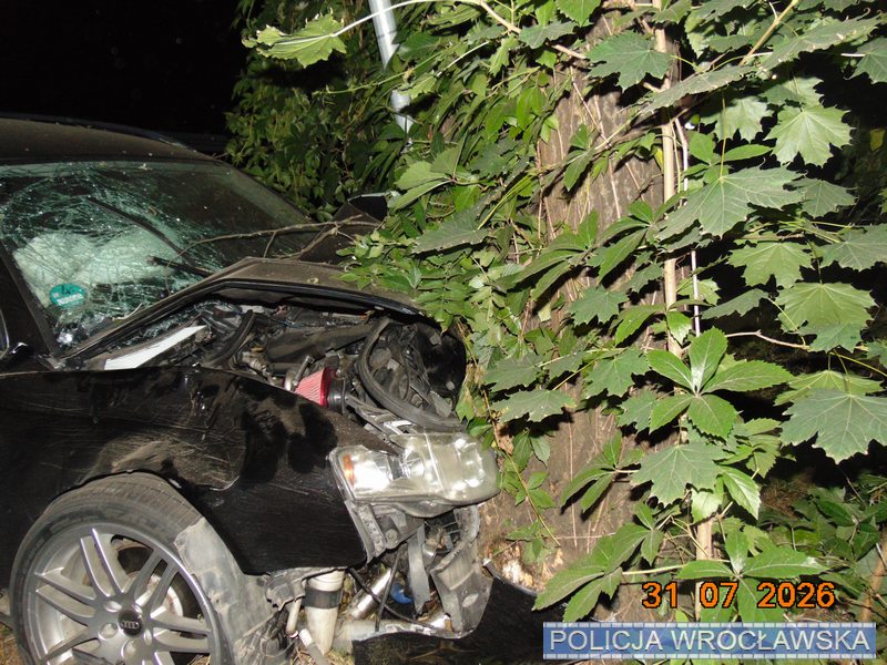 ДТП у Польщі: 7 українців постраждали, водія та його брата заарештовано