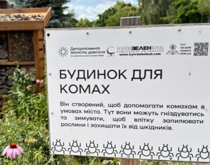 Київ активно встановлює будиночки для комах: 57 конструкцій за два роки