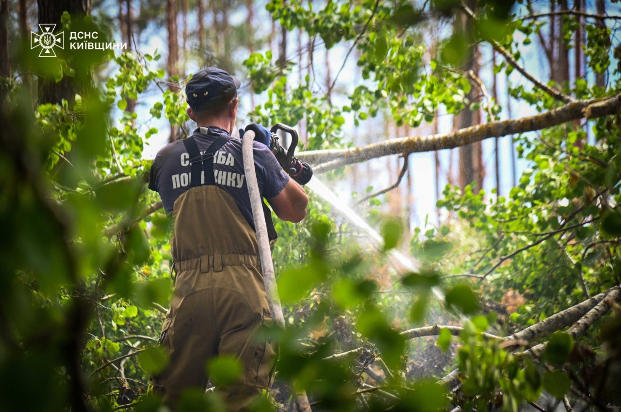 Пожежу в Чорнобильській зоні після атаки дрона повністю ліквідовано