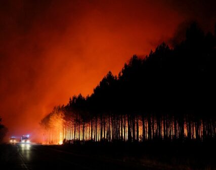 Понад 80 тисяч евакуйовано: лісові пожежі охопили Францію та Іспанію