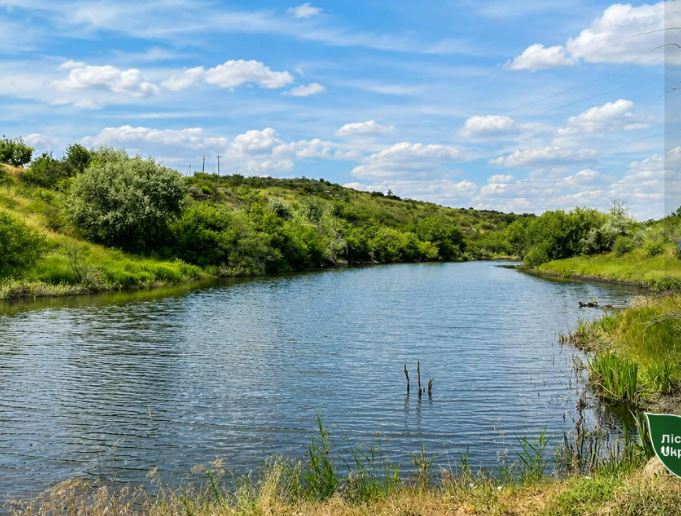У Трикратському лісі на Миколаївщині створюють перший веломаршрут