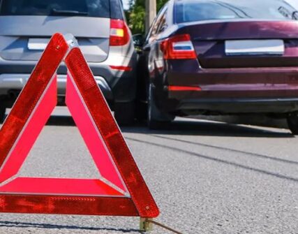 Посилення відповідальності за жорстокість до тварин: петиція на сайті Кабміну