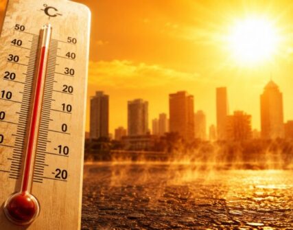 Аномальна спека повертається в Україну: до +36° з 17 липня