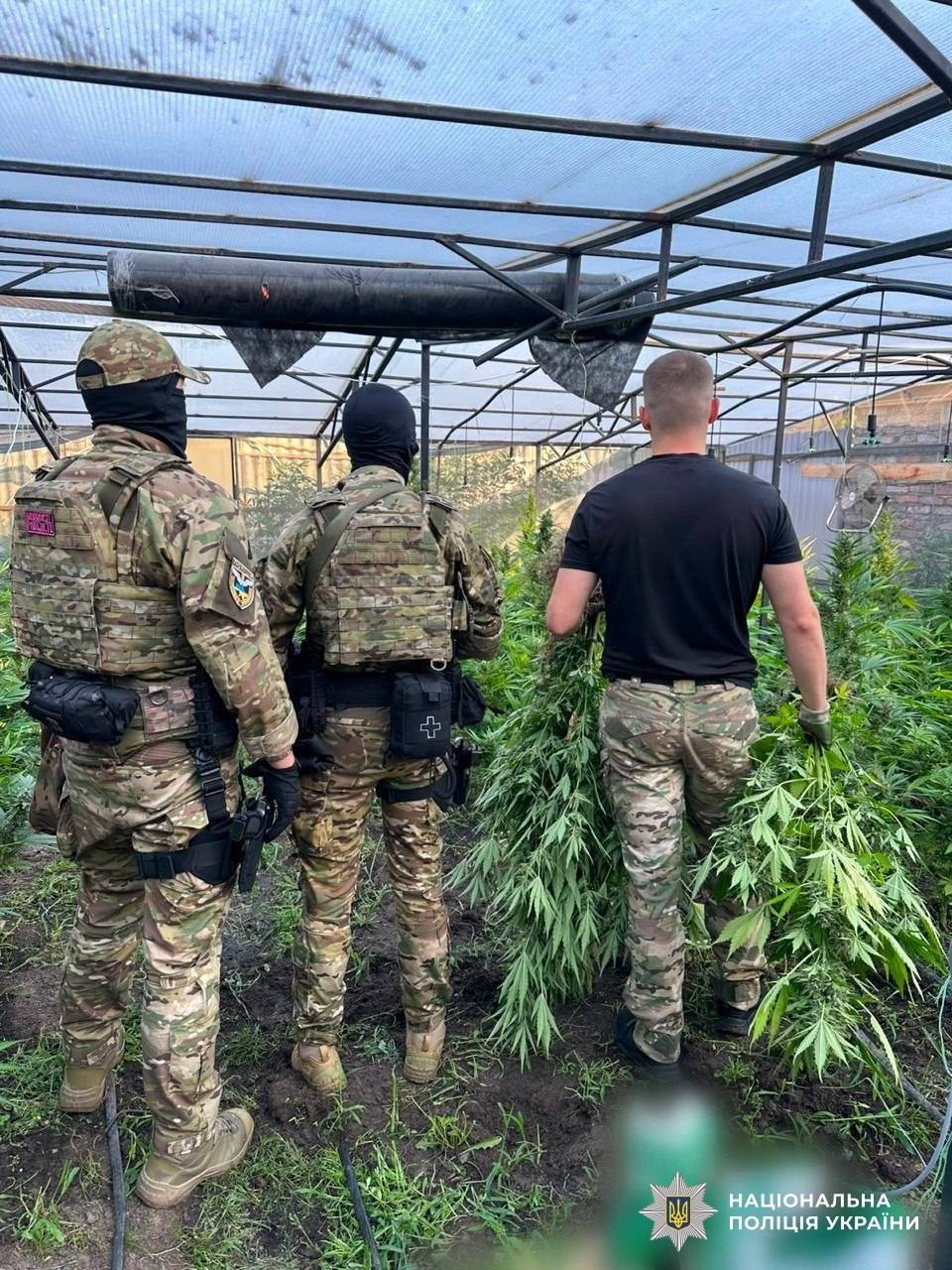 Наркомережа у 24 областях України ліквідована: вилучено на 60 млн грн