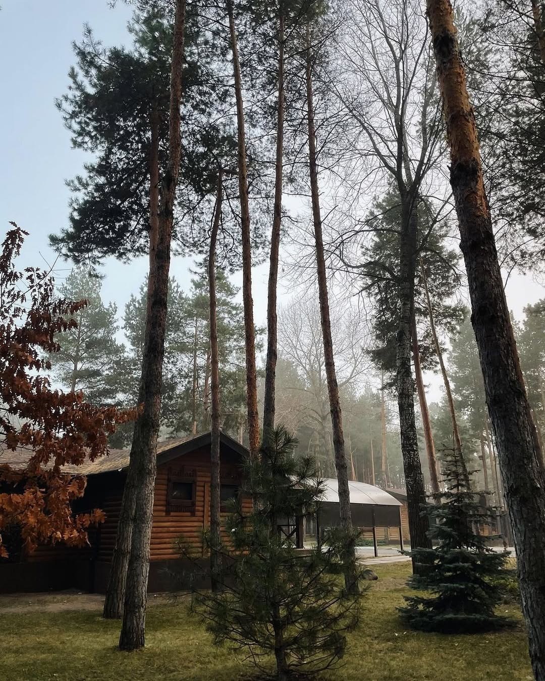 Де відпочити з дітьми на Київщині: 7 екопарків та заміських комплексів