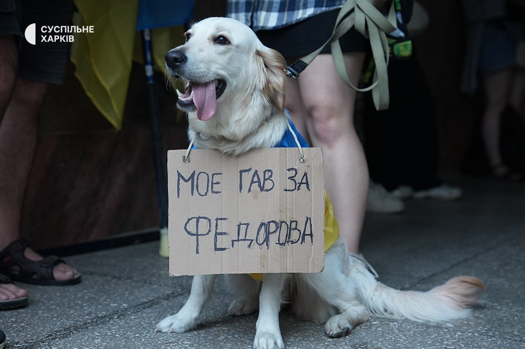 Хвиля протестів в Україні: вимагають повернення Федорова та відставки Сирського