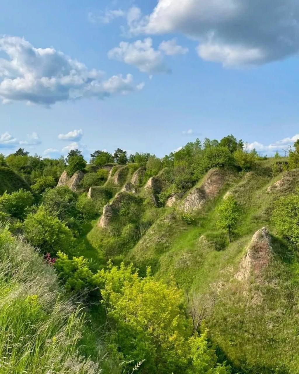 Вихідні у липні: 6 ідей для подорожей під Києвом