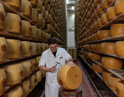 Італійський Parmigiano Reggiano під загрозою: як спека впливає на виробництво