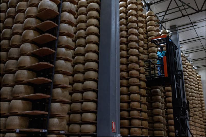Італійський Parmigiano Reggiano під загрозою: як спека впливає на виробництво