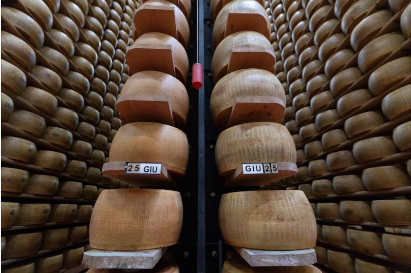 Італійський Parmigiano Reggiano під загрозою: як спека впливає на виробництво