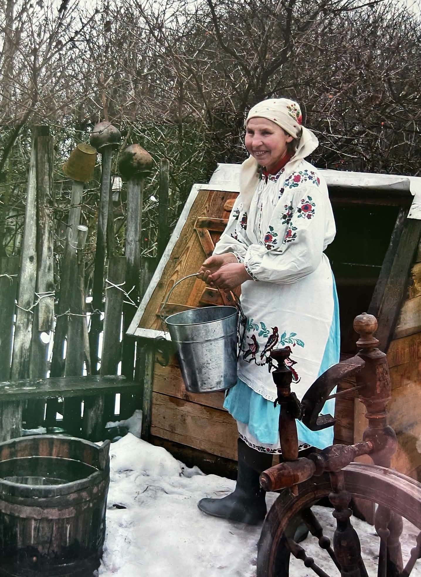 Дикі корови Чорнобиля: 10 років без людей, але пам'ятають дім