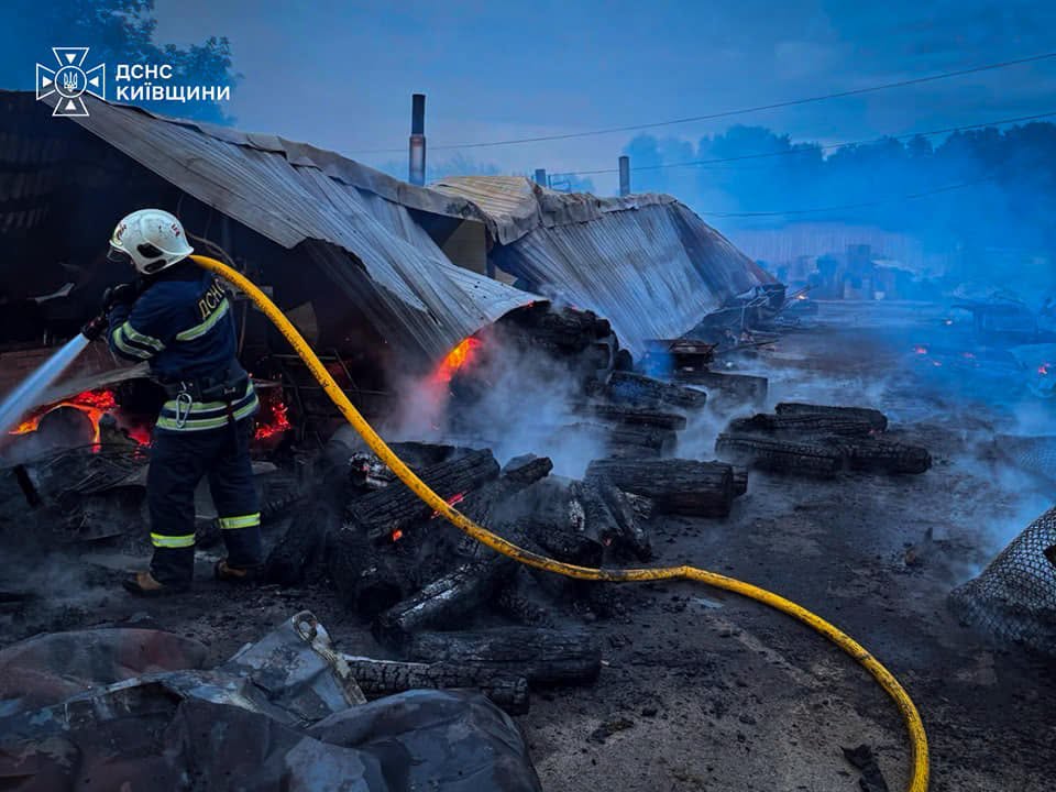 Смертельна пожежа у притулку «Сіріус» на Київщині: загинули собаки