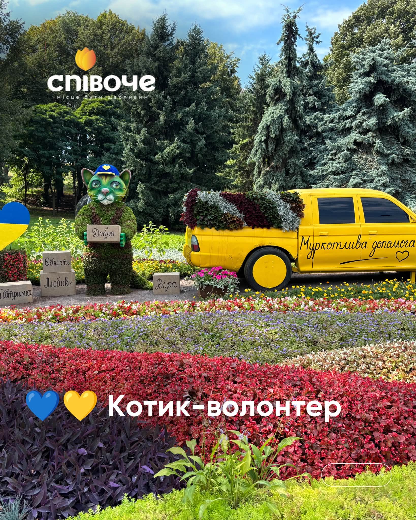У Києві відкрилася «Муркотлива Україна»: квіткова виставка котиків на Співочому полі