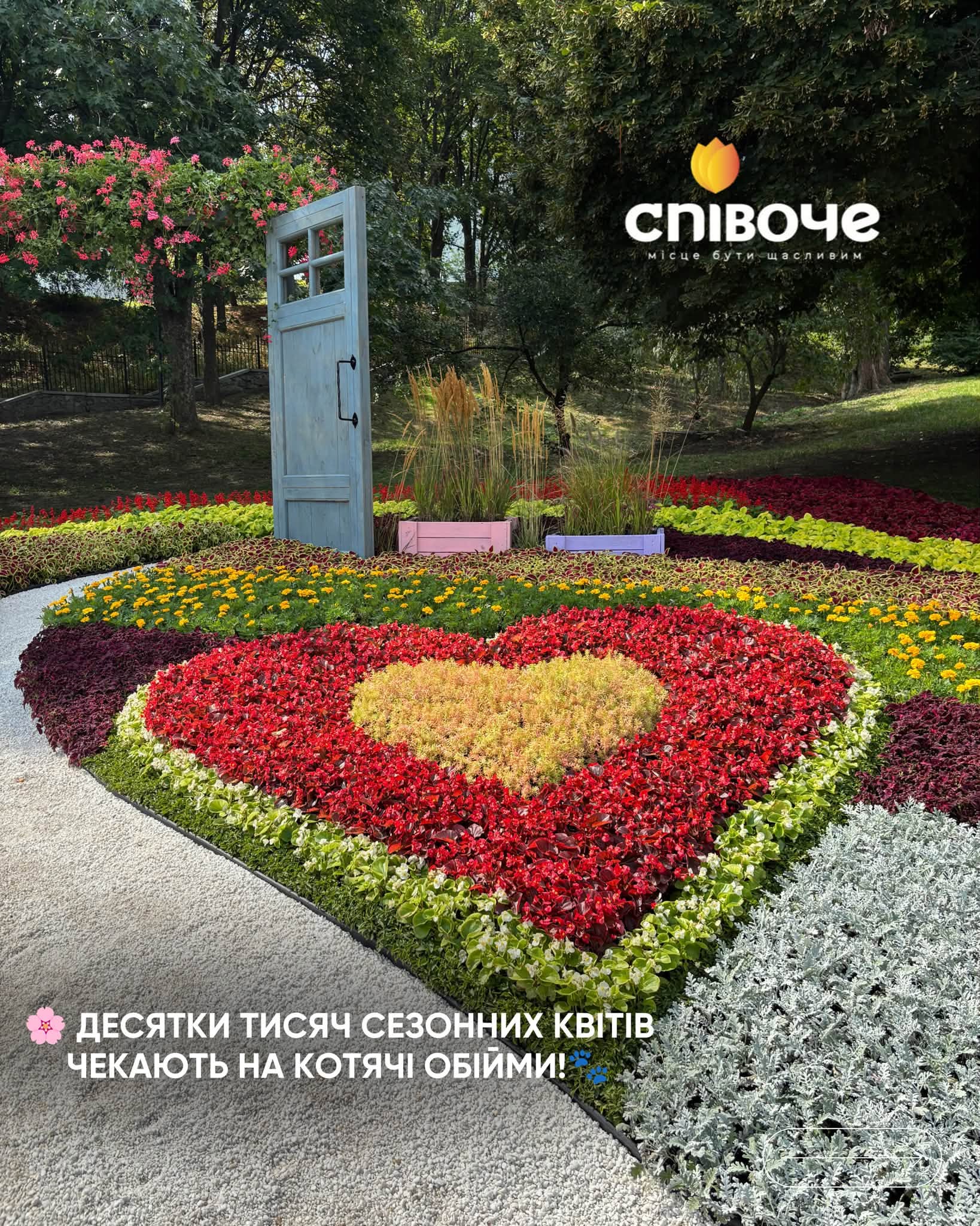 У Києві відкрилася «Муркотлива Україна»: квіткова виставка котиків на Співочому полі