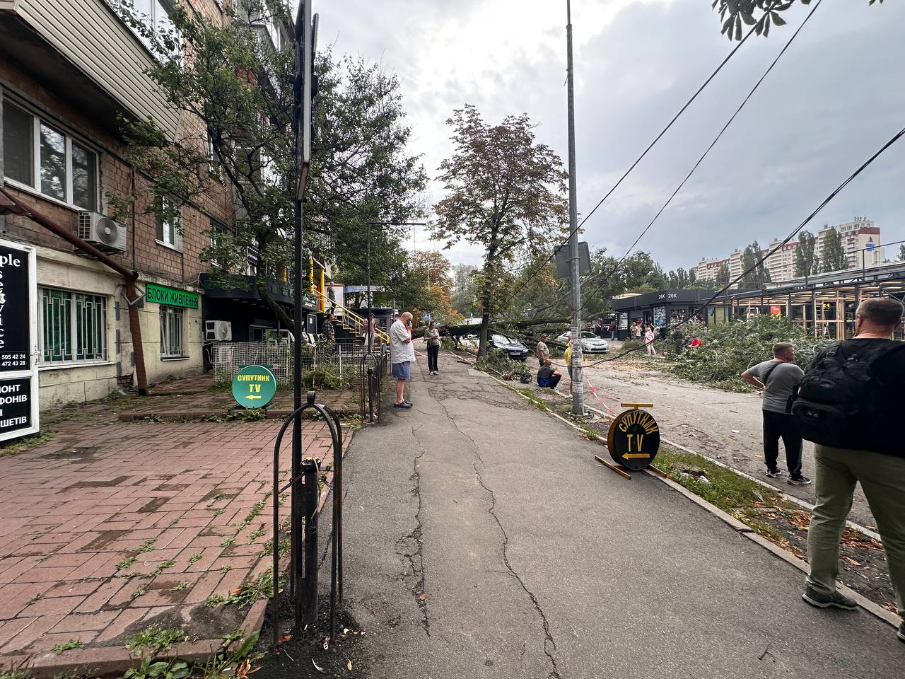 Шквал у Києві повалив дерева на авто: пошкоджено десятки машин