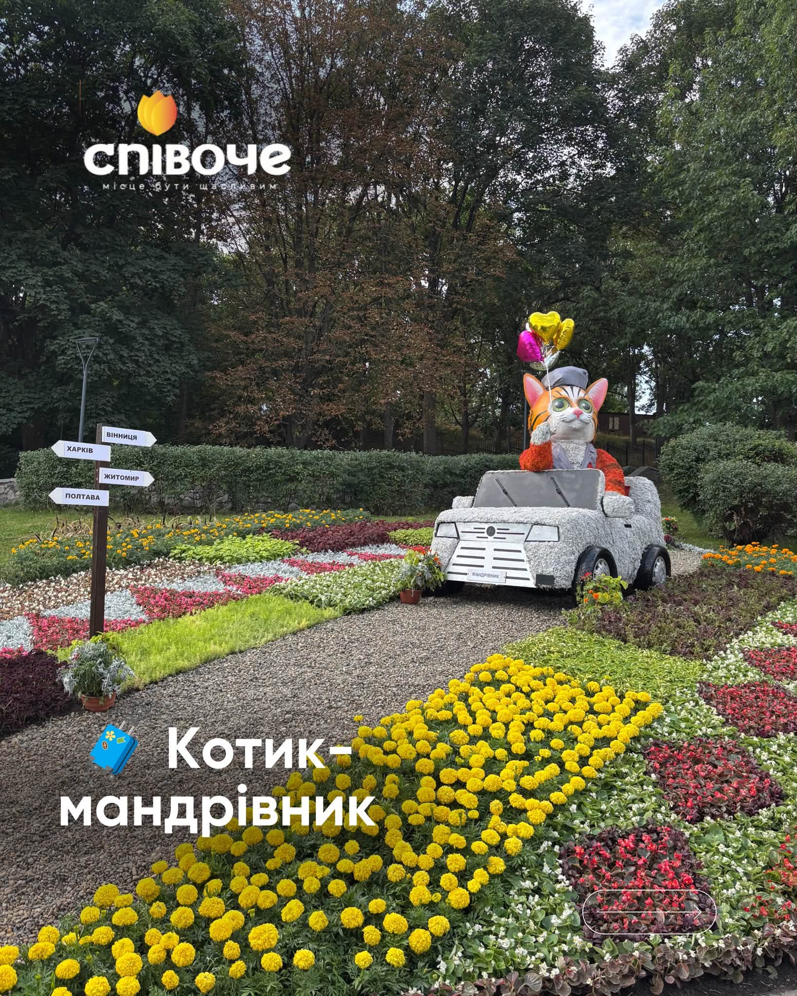 У Києві відкрилася «Муркотлива Україна»: квіткова виставка котиків на Співочому полі