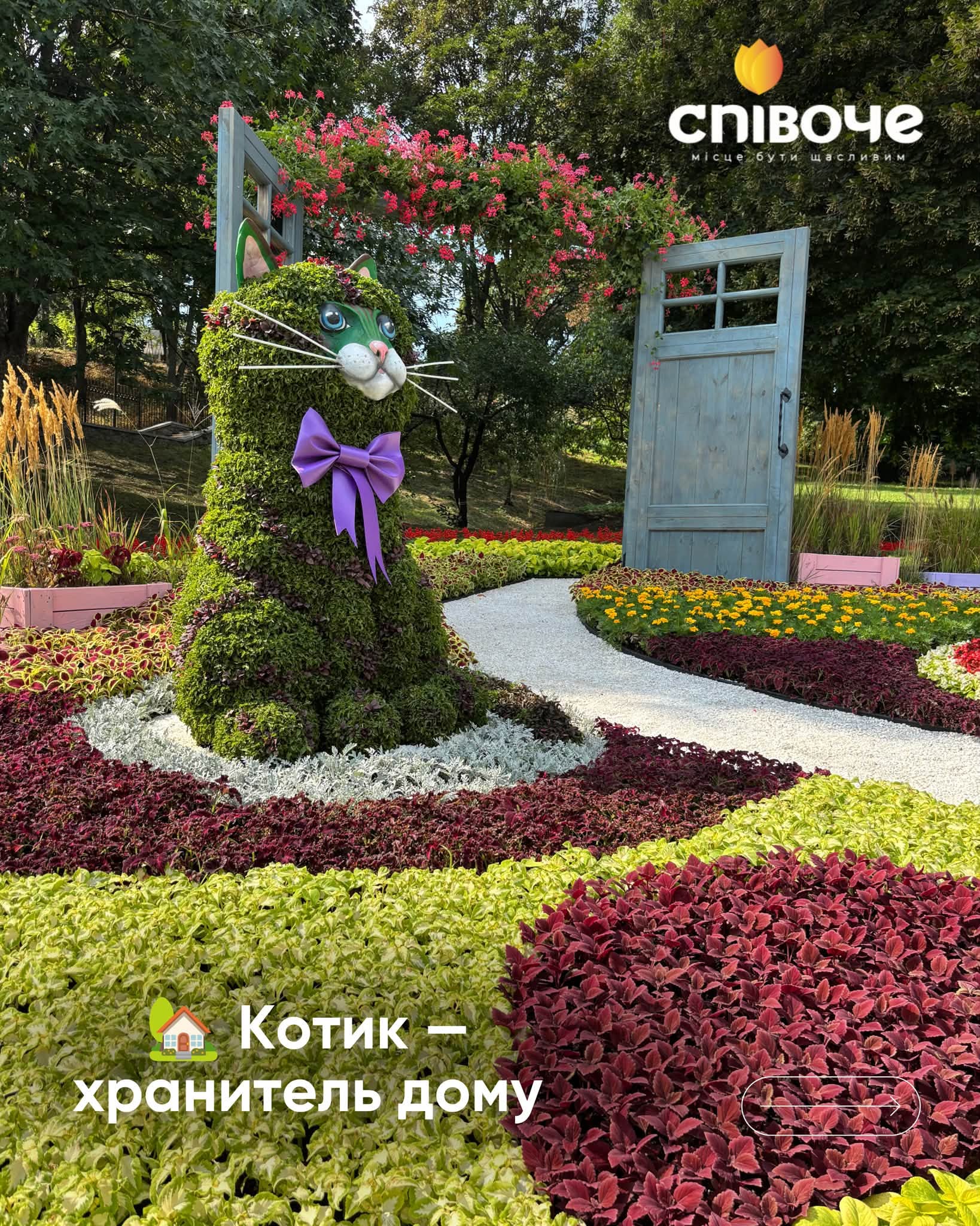 У Києві відкрилася «Муркотлива Україна»: квіткова виставка котиків на Співочому полі