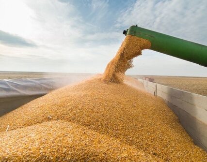 Україна може втратити понад €10,8 млрд агроекспорту через блокування портів