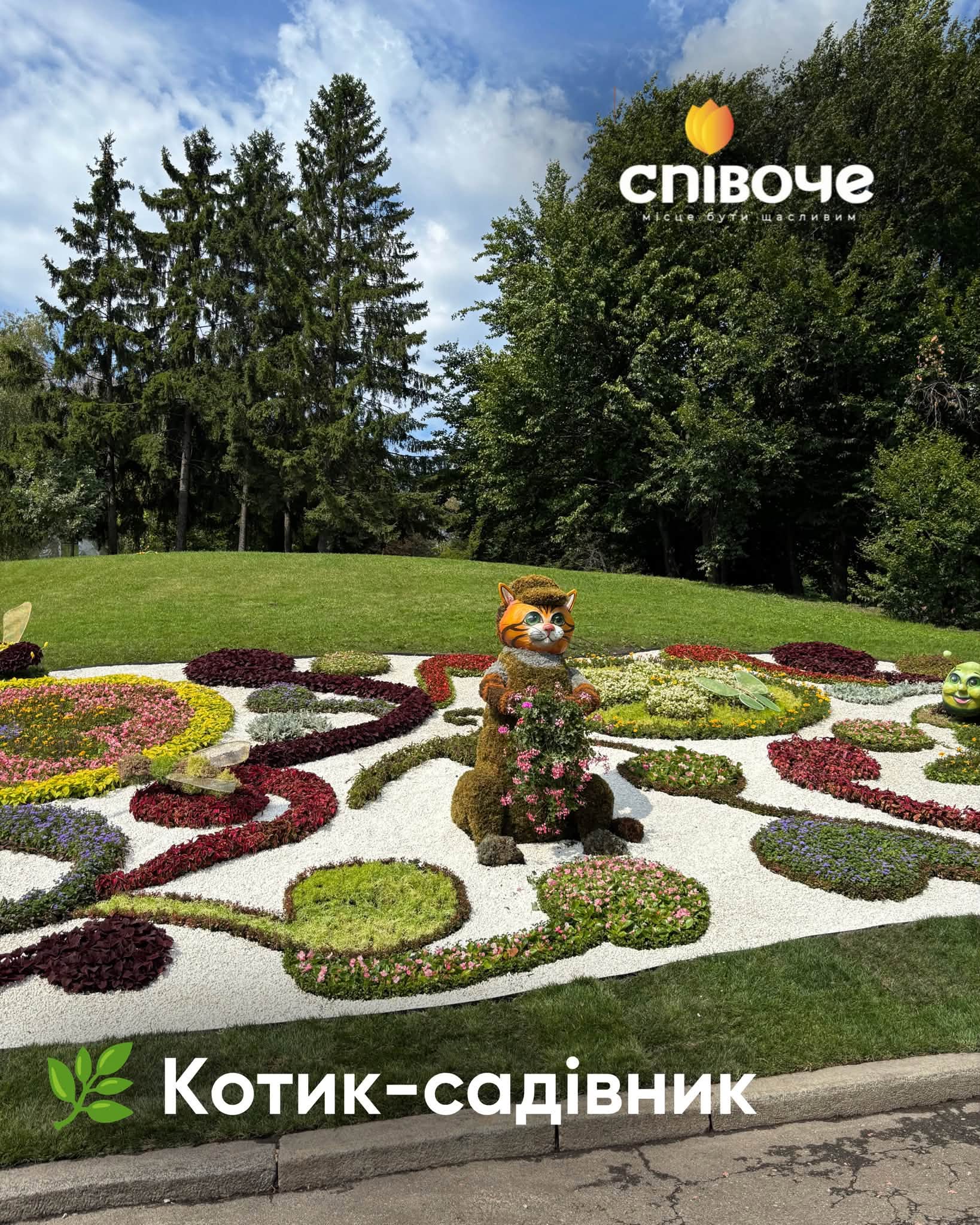У Києві відкрилася «Муркотлива Україна»: квіткова виставка котиків на Співочому полі