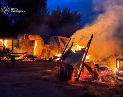 Смертельна пожежа у притулку «Сіріус» на Київщині: загинули собаки