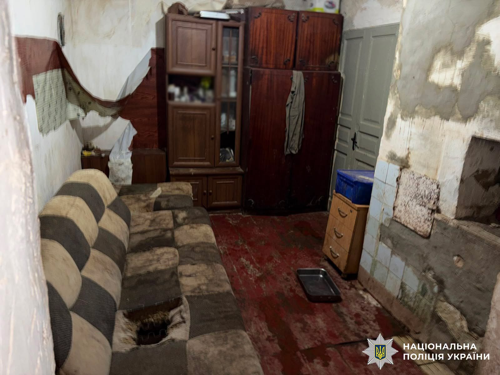 Поліція Києва розслідує жорстоке поводження з доберманами у розпліднику