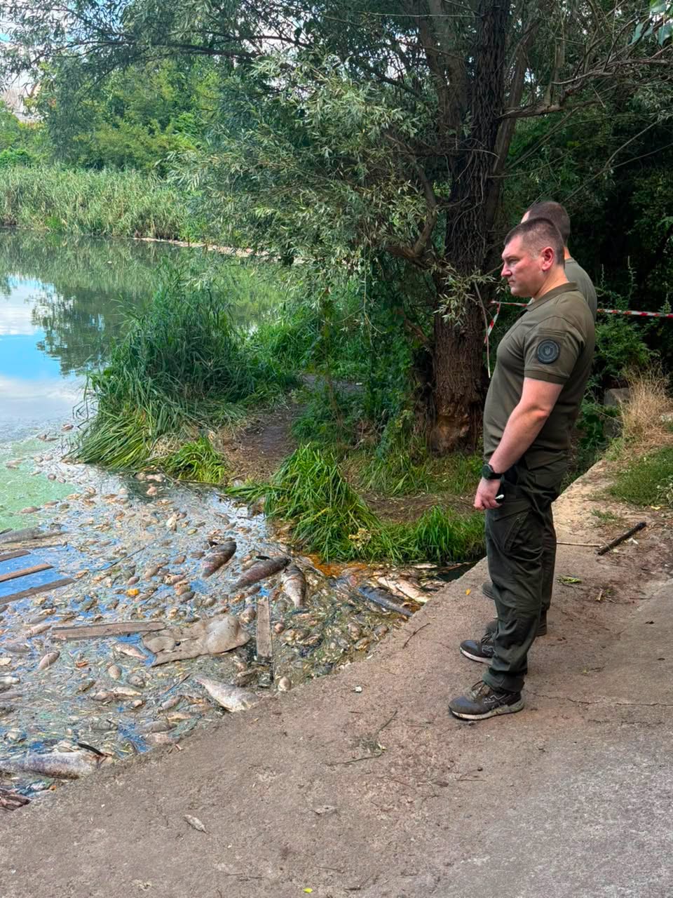 Понад 15 тисяч рибин загинули на Київщині: шкода 36,5 млн грн