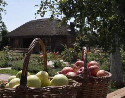 У музеї Довженка на Чернігівщині роздають безкоштовні яблука