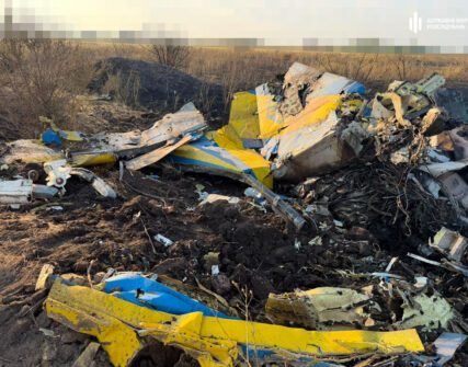 ДБР розслідує падіння винищувача МіГ-29 на Одещині: що відомо