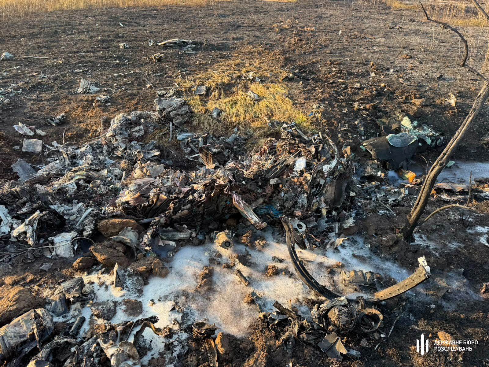 ДБР розслідує падіння винищувача МіГ-29 на Одещині: що відомо