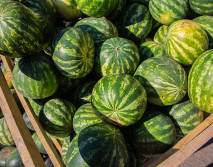 Ярмарки у Києві сьогодні: де купити свіжі продукти за вигідними цінами